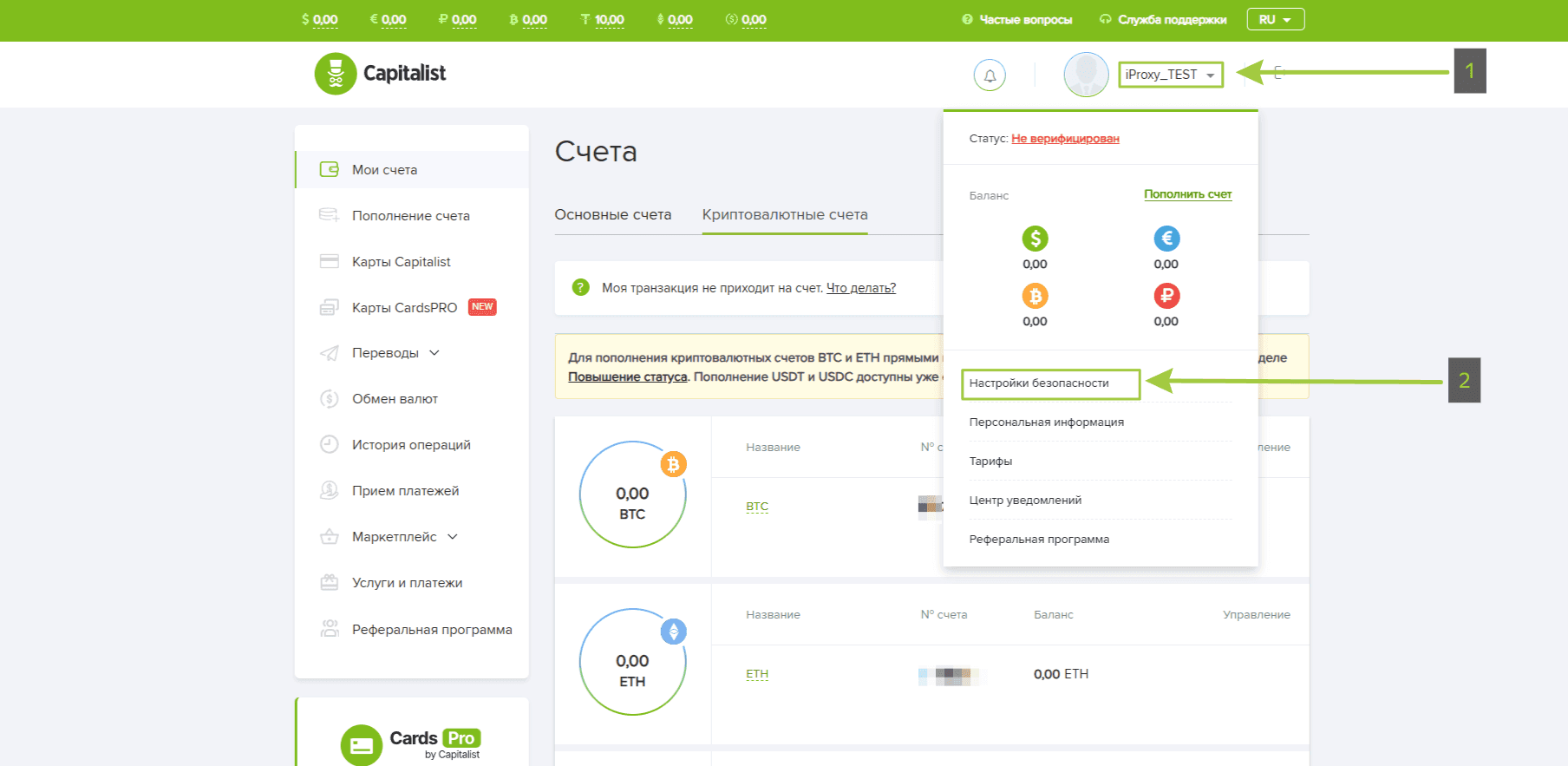 iProxy Online
