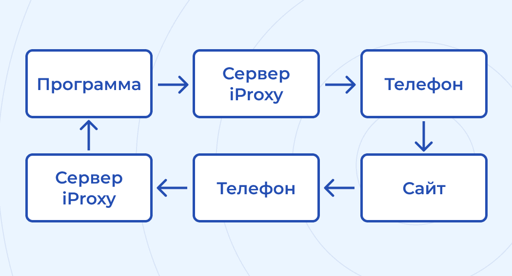 iProxy Online