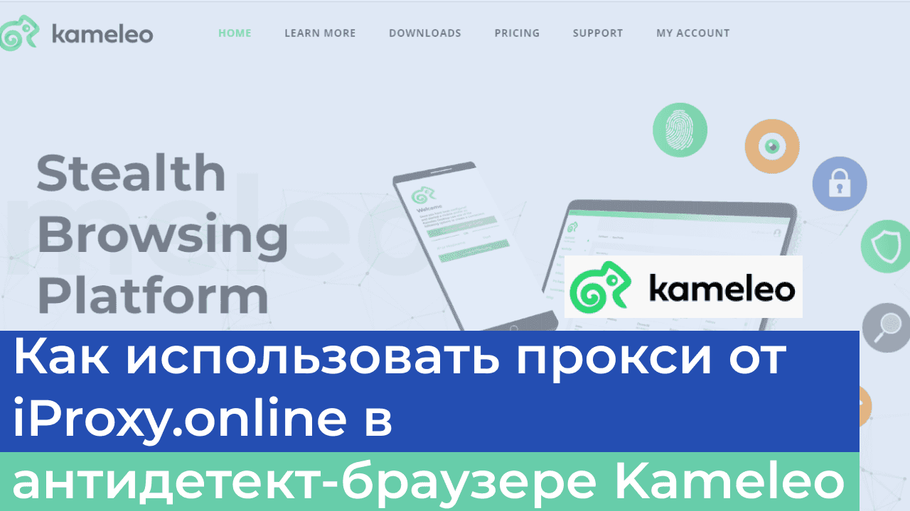 Интеграция iProxy.online и Kameleo