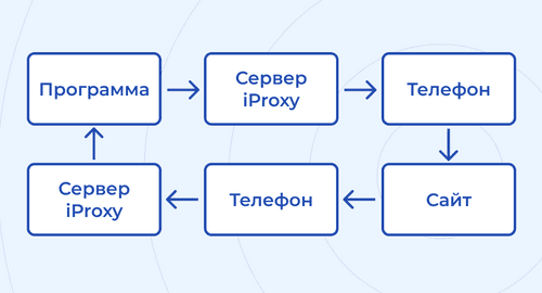 Путь трафика от телефона до программы, в которой вы используете прокси