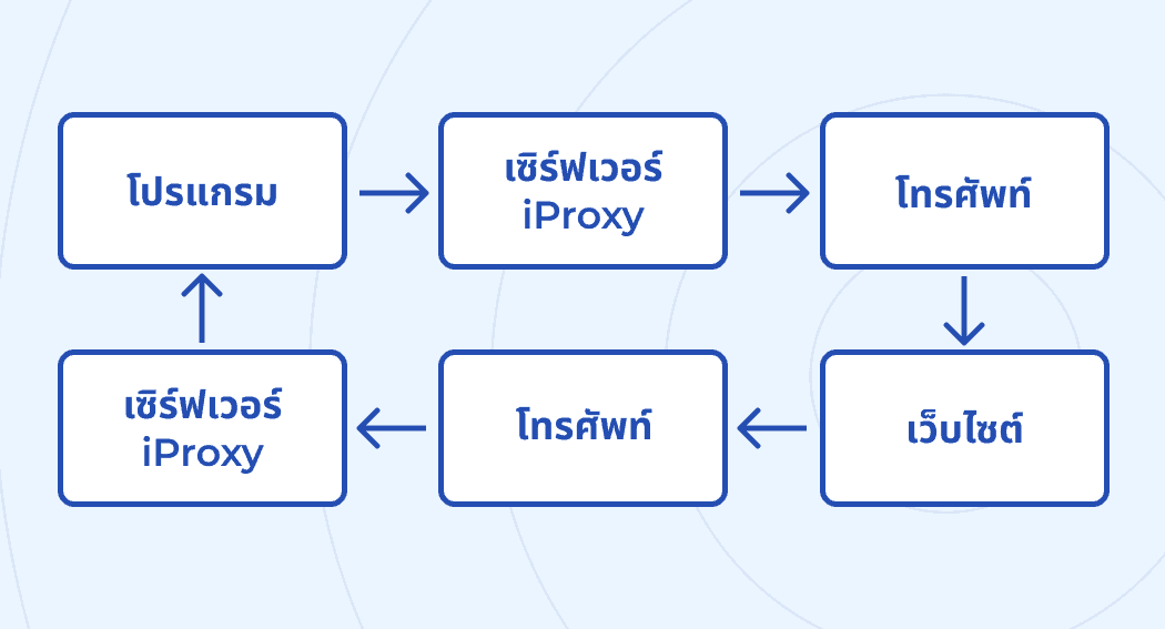 iProxy Online