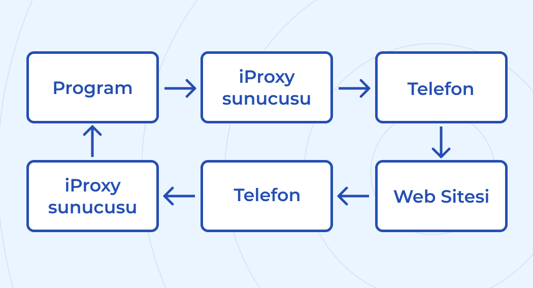 Telefondan proxy kullandığınız programa giden trafik yolu