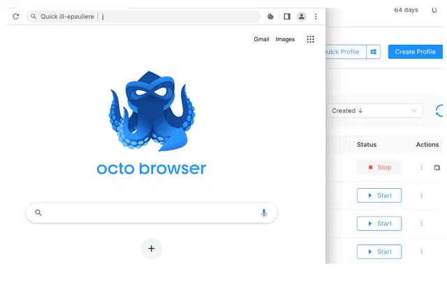 start_octo_en.png