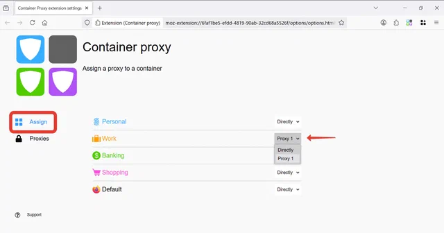 4. Container proxy Assign.png