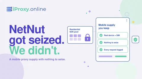 Альтернатива NetNut після вилучення ФБР: постачання проксі, яке неможливо конфіскувати (2026)