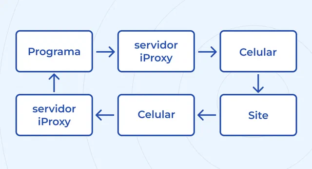 pt_path.png